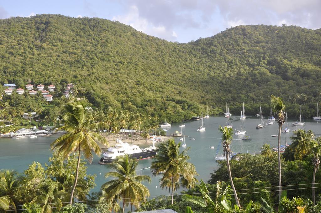 Marigot Palms Luxury Caribbean Apartment Suites Exterior foto