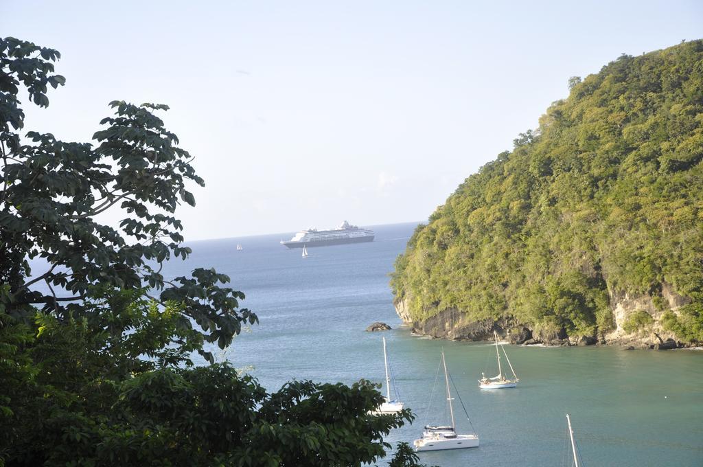 Marigot Palms Luxury Caribbean Apartment Suites Exterior foto